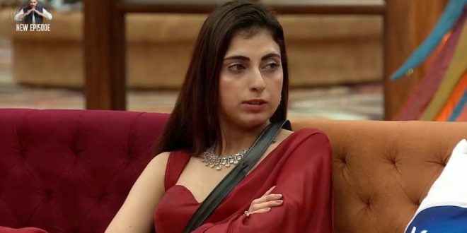 Bigg Boss 19 18th November 2025